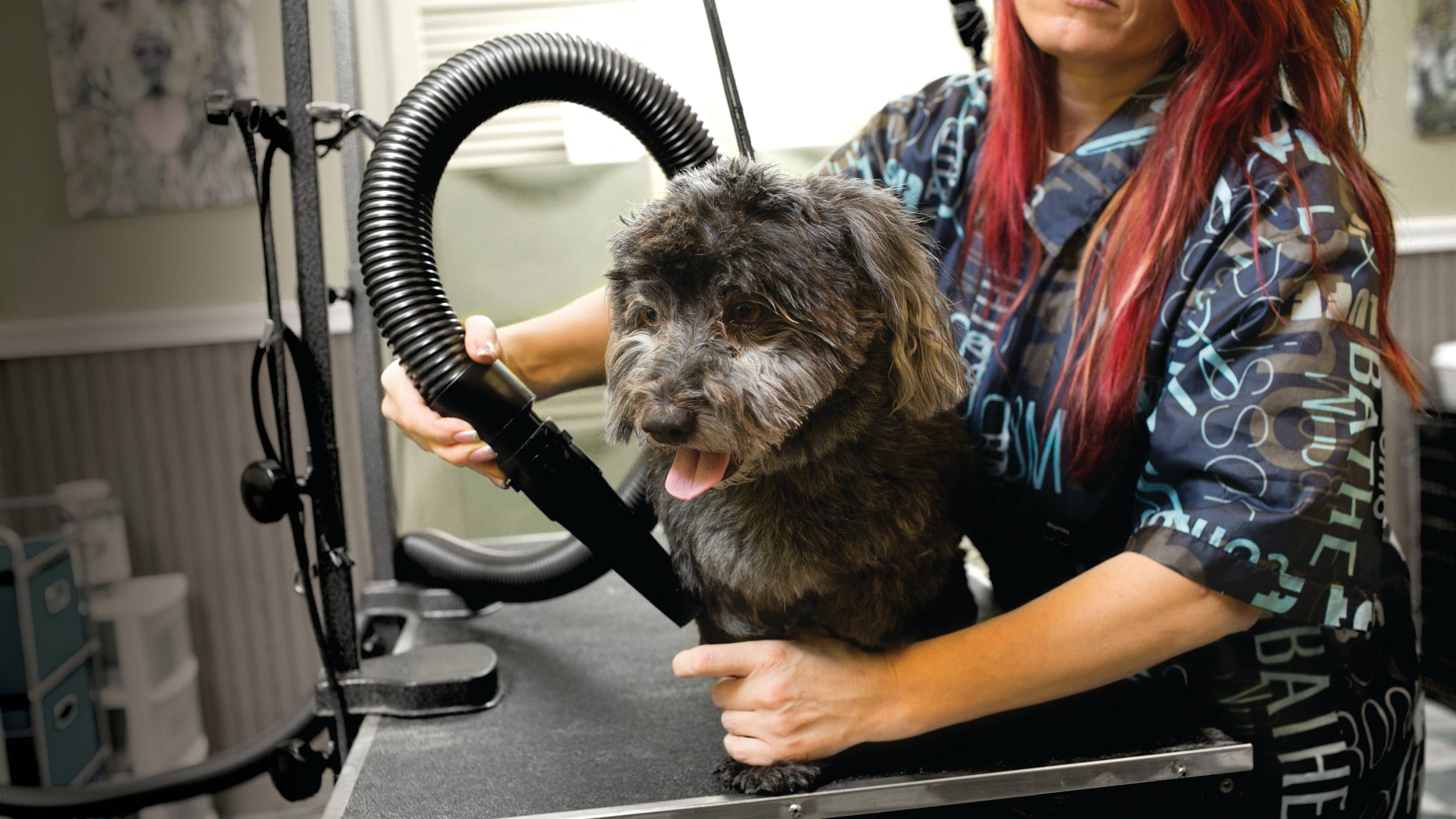Air Force® Commander® Variable Speed Pet Dryer