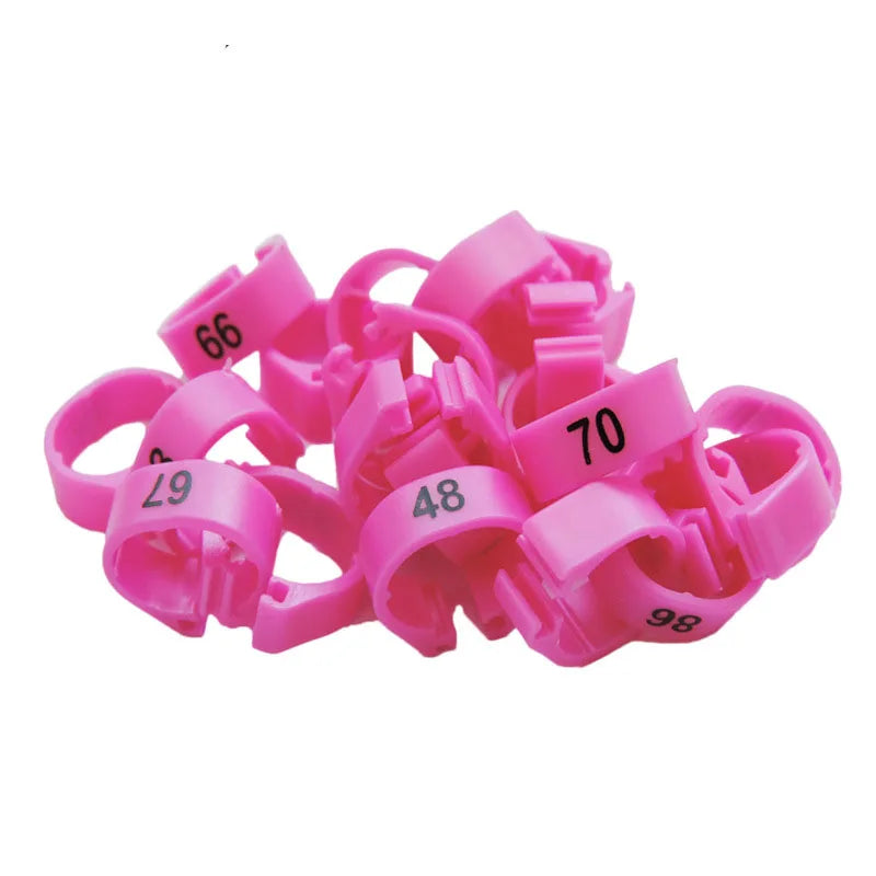 Inner Diameter 8Mm Pigeon Leg Bands Poultry Dove Bird Parrot Clip Rings Band Foot Ring Pigeon Supplies Bird Appliances 100 Pcs