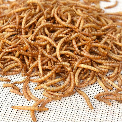 50G Dried Mealworms Wild Garden Bird Feed Food Meal Worm Chicken Reptile Fish