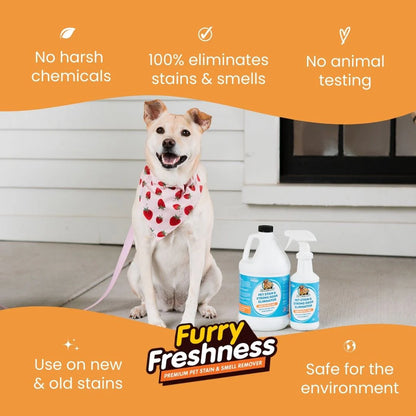 Stain & Odor Eliminator Spray Bottle Options