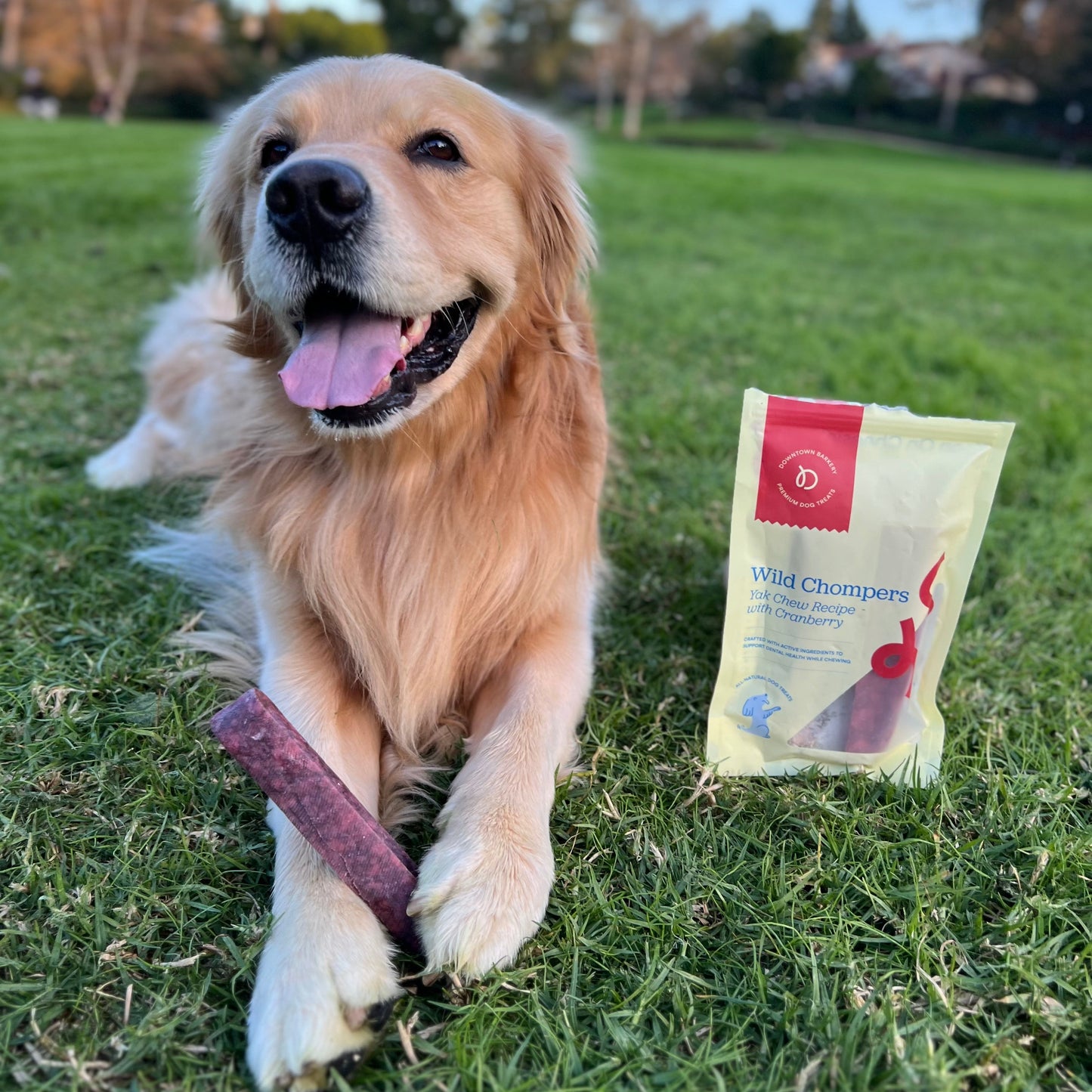 Long Lasting Dental Yak Chews - Cranberry and Blueberry Yak Chews for Dogs